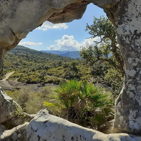 דירה Balcones De